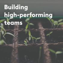 building high performing teams