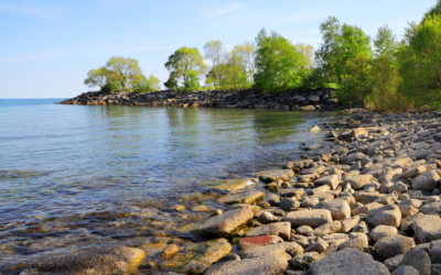 Lake What Now? Reflection on a Renamed Lake, Power, and Leadership